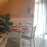 The View House Rabka-zdroj Wellness & 别墅