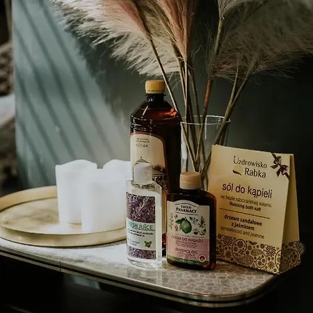 فيلة The View House Rabka-zdroj Wellness & رابكا