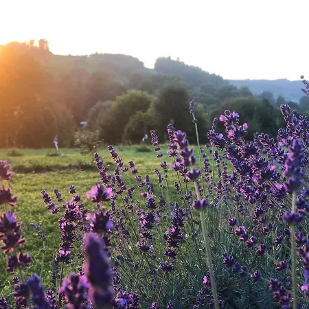 The View House Rabka-zdroj Wellness & *