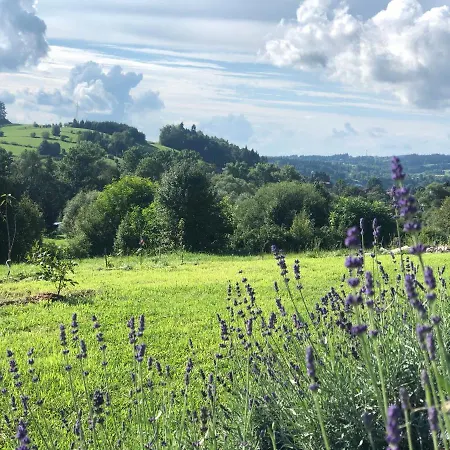 The View House Rabka-zdroj Wellness &