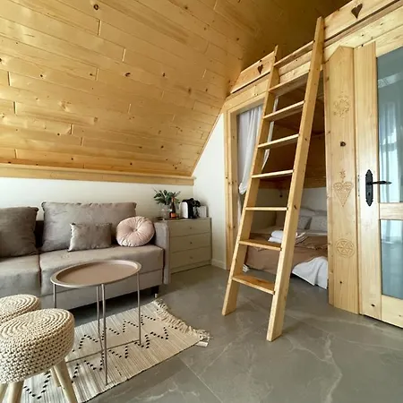 Villa The View House Rabka-zdroj Wellness & *